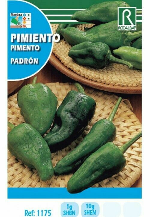 HORTALIZAS PIMIENTO PADRON