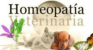 Homeopatia