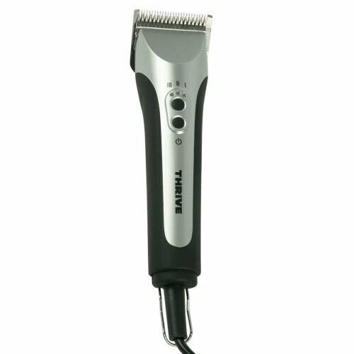 Máquina profesional Thrive 808-4S