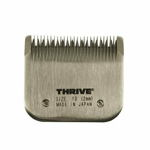 Cabezales Thrive 808