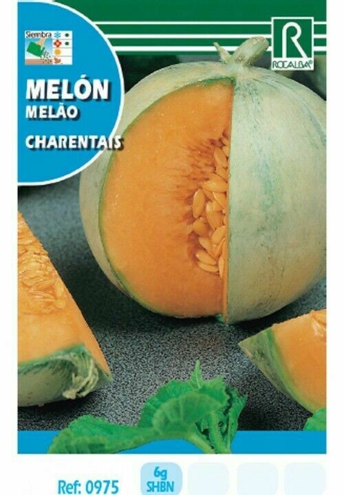 HORTALIZAS MELON CHARENTAIS