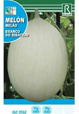 HORTALIZAS MELON BRANCO DO RIBATEJO