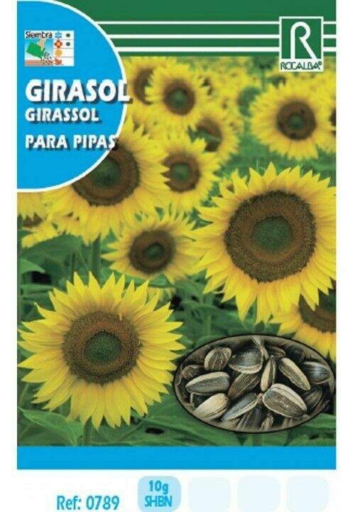 HORTALIZAS GIRASOL PARA PIPAS HORTALIZAS GIRASOL PARA PIPAS