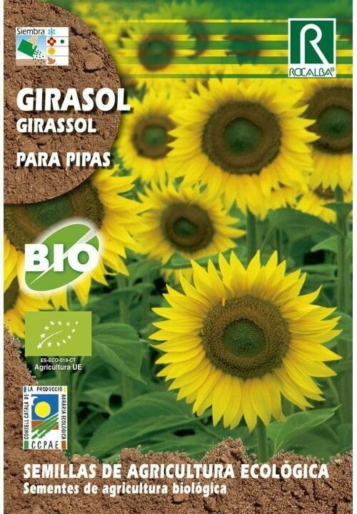 HORTALIZAS ECOLOGICAS GIRASOL PARA PIPAS