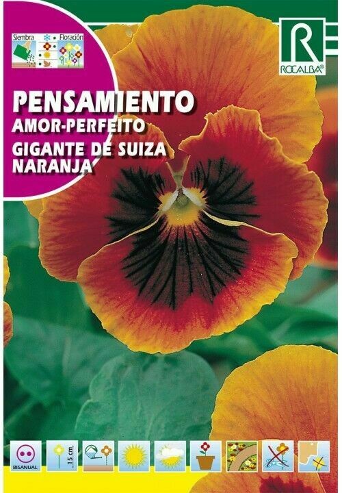 FLORES PENSAMIENTO