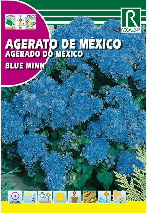 FLORES AGERATO DE MAXICO BLUE
