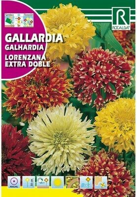 FLORES GALLARDIA