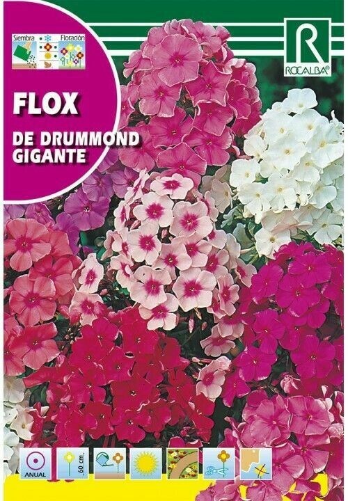 FLORES FLOX