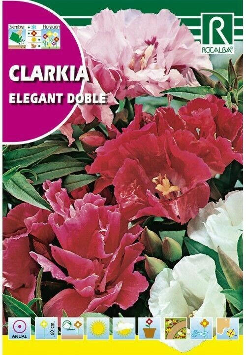 FLORES CLARKIA