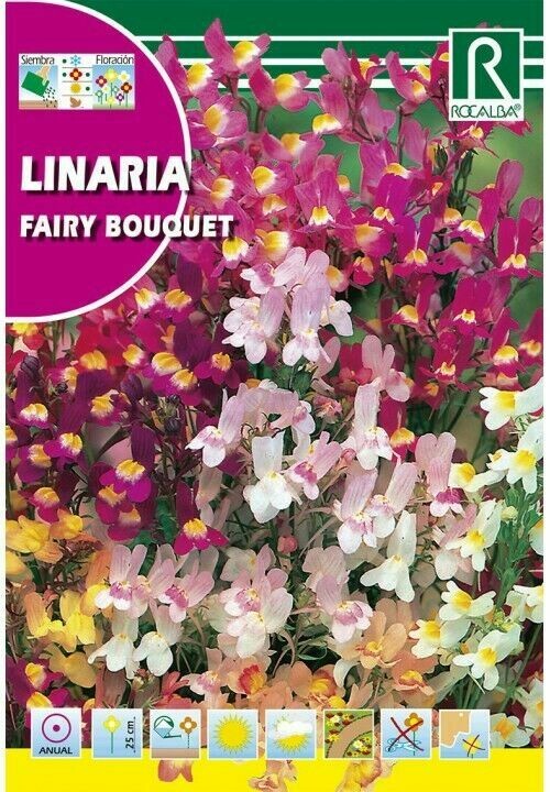 FLORES LINARIA FAIRY BOUQUET