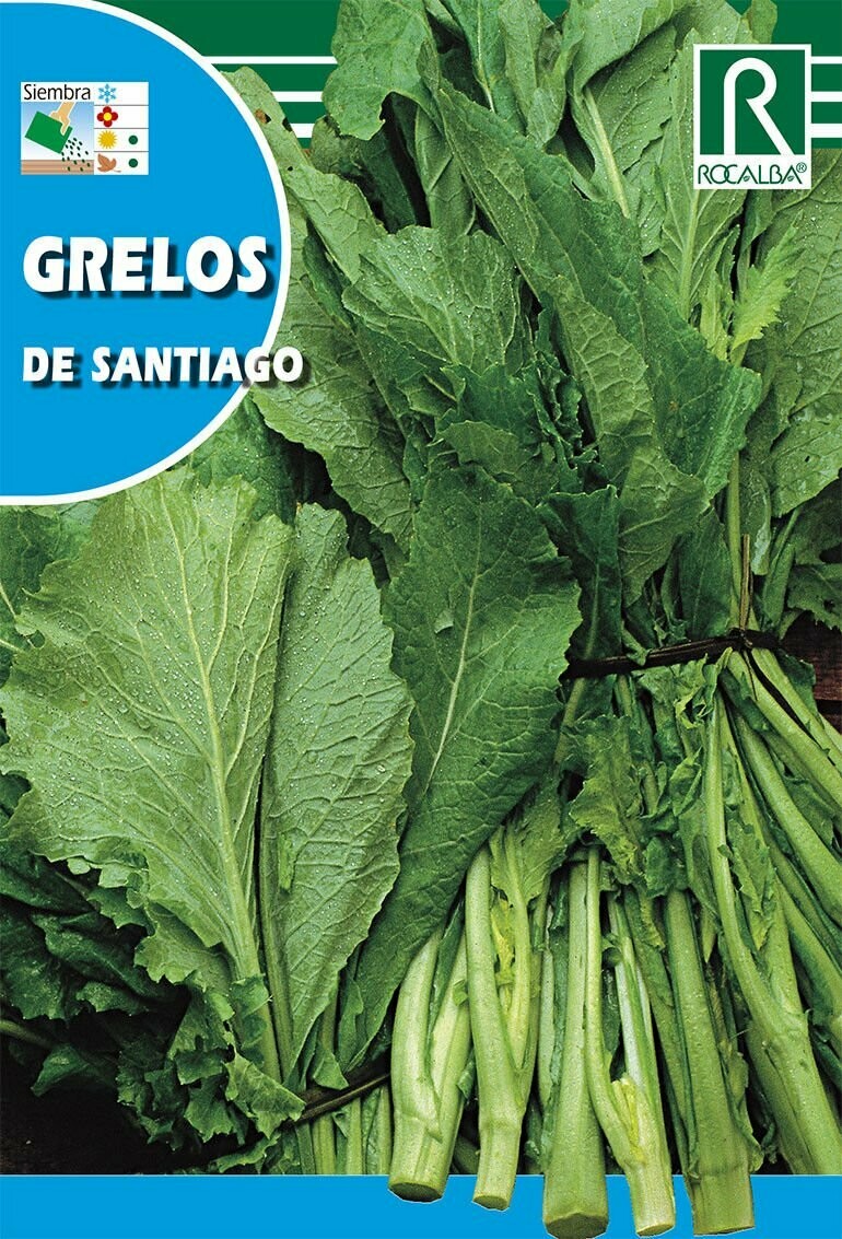 HORTALIZAS GRELOS DE SANTIAGO