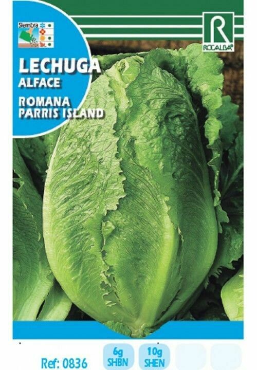 HORTALIZAS LECHUGA ROMANA PARRIS ISLAND
