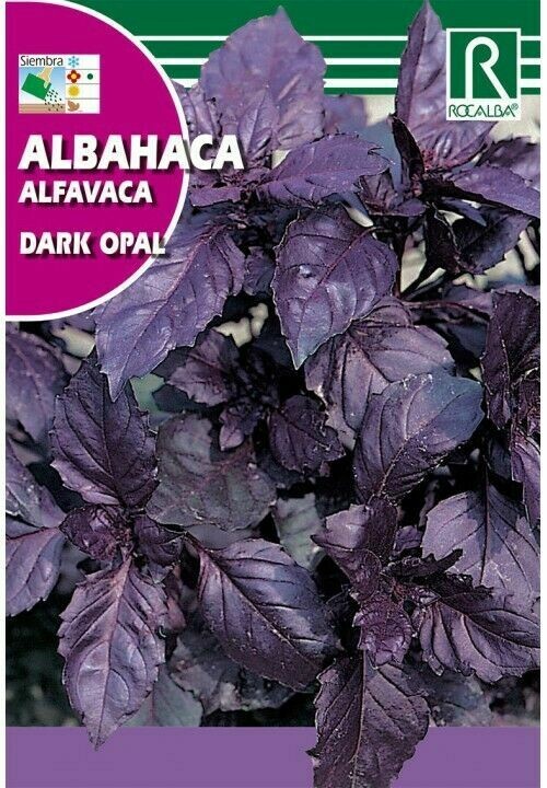 AROMATICAS Y MEDICINALES ALBAHACA DARK OPAL