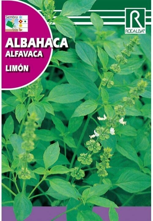 AROMATICAS Y MEDICINALES ALBAHACA LIMÓN
