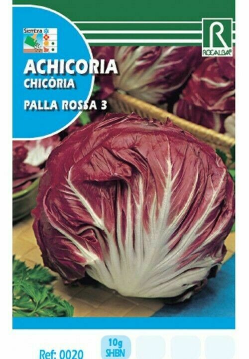 HORTALIZAS ACHICORIA PALLA ROSSA 3