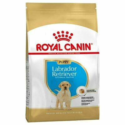 ROYAL CANIN LABRADOR RETRIEVER JUNIOR 33 PERRO 3 KG