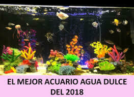 Cuidado del acuario de agua dulce