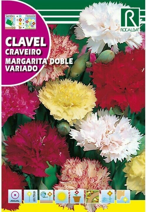 FLORES CLAVEL FLORES CLAVEL