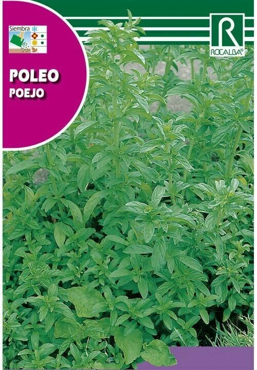 MEDICINALES, AROMATICAS Y CULINARIAS POLEO