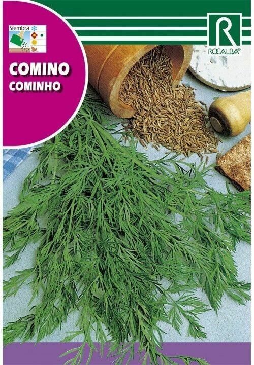 MEDICINALES, AROMATICAS Y CULINARIAS COMINO