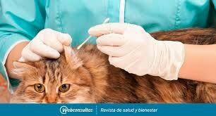 Antiinfecciosos Tópicos