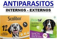 Antiparasitarios
