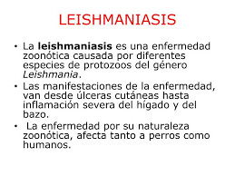 Antileishmaniasicos