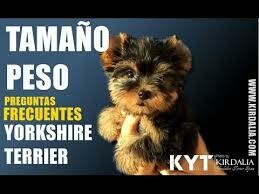 Antidepresivos - Ansiedad