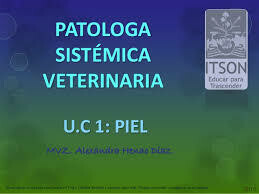 Antibacterianos Sistémicos