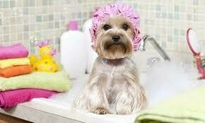 Complementos de peluqueria