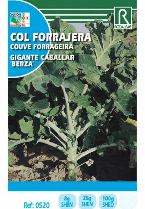 HORTALIZAS COL FORRAJERA GIGANTE CABALLAR (BERZA)