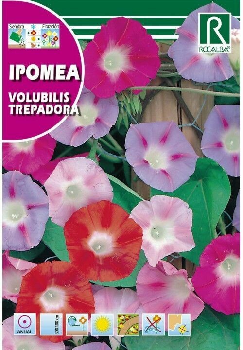 FLORES IPOMEA SCARLET O’HARA TREPADORA MEZCLA