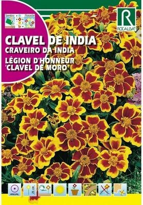 FLORES CLAVEL DE LA INDIA LEGION D’HONNEUR