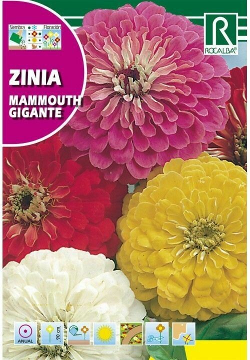 FLORES ZINIA MAMMOUTH GIGANTE VARIADA