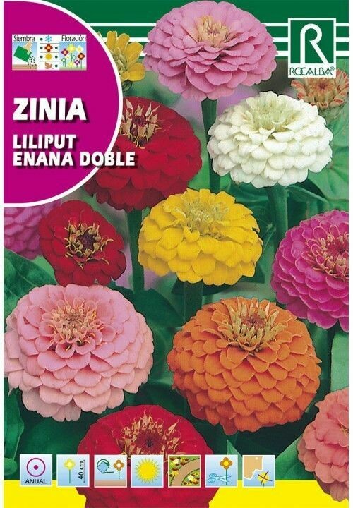 FLORES ZINIA LILIPUT ENANA DOBLE VARIADA
