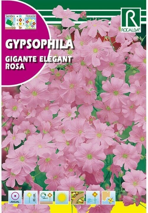 FLORES GIPSOFILA GIGANTE ELEGANT ROSA