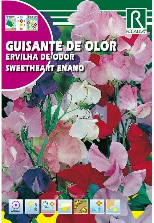 FLORES GUISANTE DE OLOR ENANO