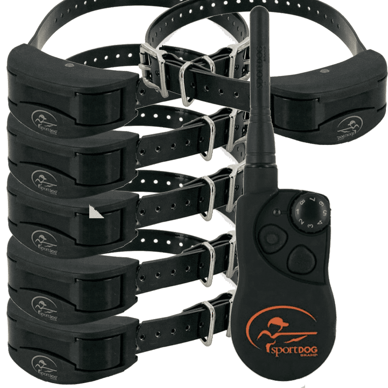 Collar Adiestramiento 6 Perros Sportdog trainer SD-1825 1600 mts