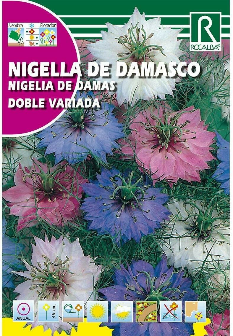 FLORES NIGELLA DE DAMASCO DOBLE VARIADA