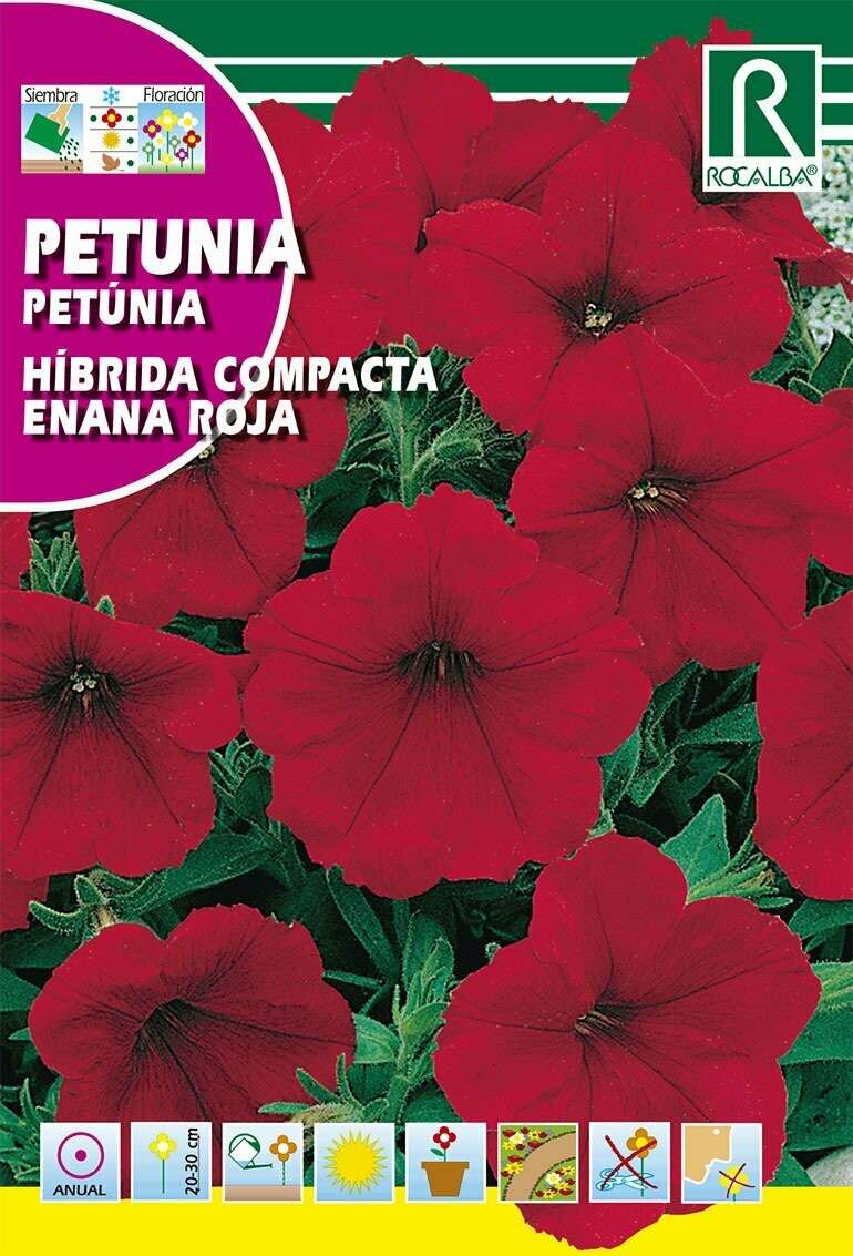 FLORES PETUNIA HÍBRIDA COMPACTA ENANA ROJA