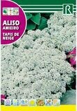 FLORES ALISO TAPIS DE NEIGE