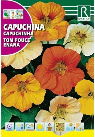FLORES CAPUCHINA TOM POLICE ENANA