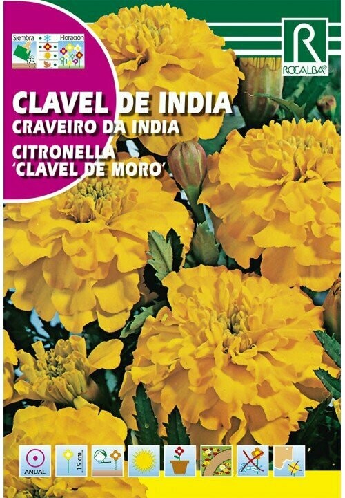 FLORES CLAVEL DE INDIA CITRONELLA DOBLE ENANO