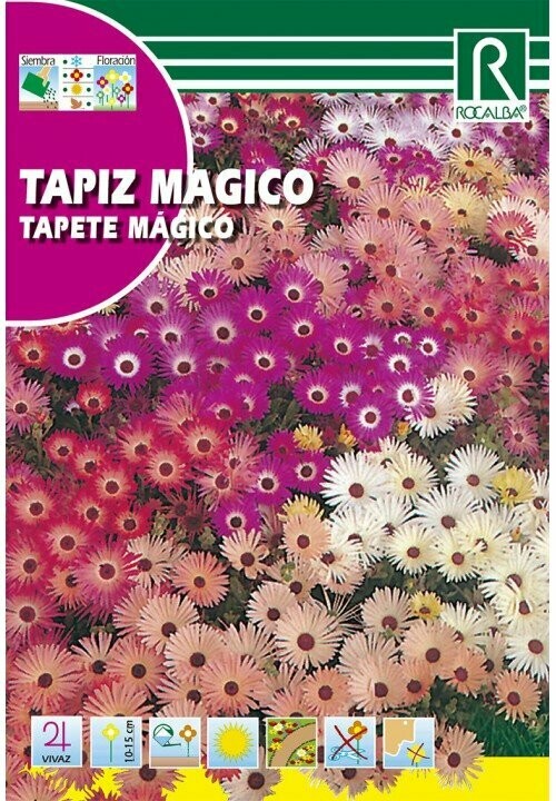 FLORES TAPIZ MAGICO