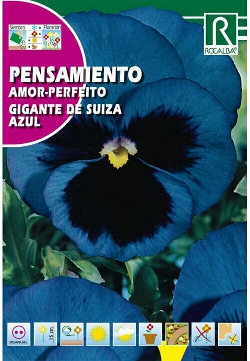 FLORES PENSAMIENTO AZUL FLORES PENSAMIENTO AZUL