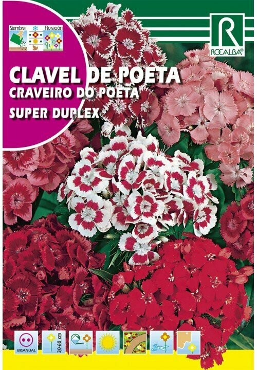 FLORES CLAVEL DEL POETA