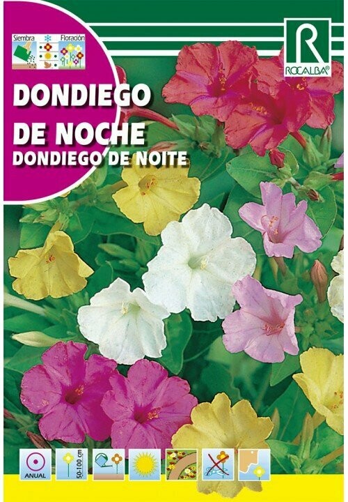 FLORES DONDIEGO DE NOCHE