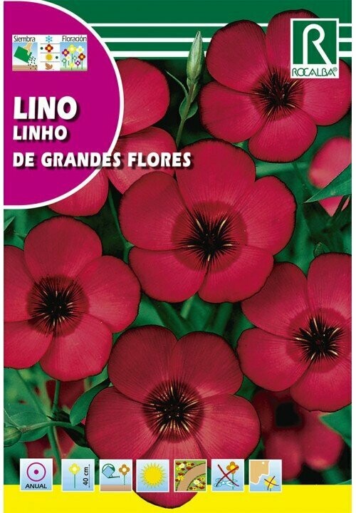 FLORES LINO