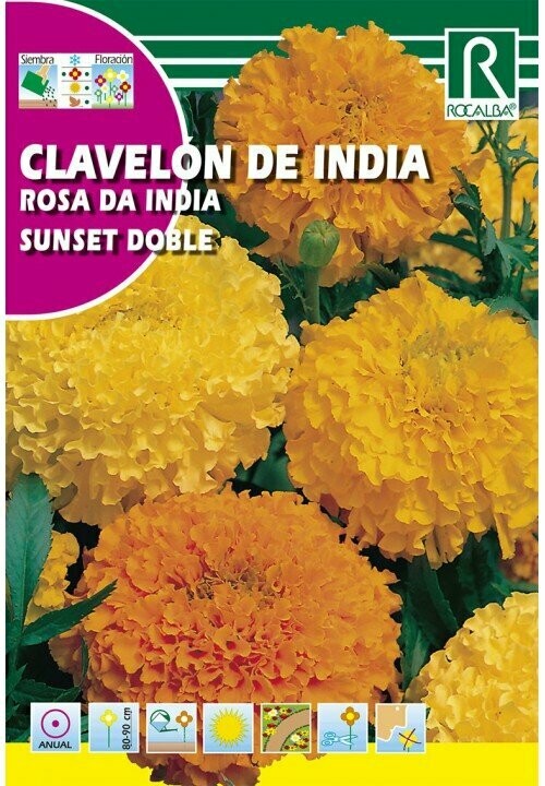 FLORES CLAVELÓN DE INDIA SUNSET DOBLE GRANDE VARIADO