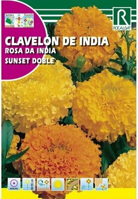FLORES CLAVELÓN DE INDIA SUNSET DOBLE GRANDE VARIADO